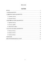 Referāts 'Sociālie institūti', 2.