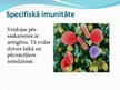Prezentācija 'Imūnsistēma', 4.