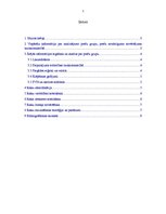 Referāts 'Riska analīze un preču kontrole', 2.