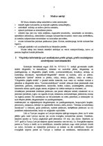 Referāts 'Riska analīze un preču kontrole', 3.