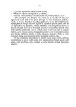 Referāts 'Riska analīze un preču kontrole', 8.