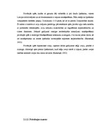 Referāts 'Privāto ūdeņu tiesiskais regulējums un tiesiskās sekas', 13.