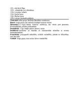 Konspekts 'Krusta kari', 2.