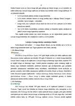 Referāts 'Līzings un tā izmantošana Latvijā', 19.