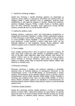 Referāts 'Mārketings un reklāma: digitālais mārketings, sociālo tīklu stratēģijas, reklāma', 6.