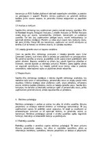 Referāts 'Mārketings un reklāma: digitālais mārketings, sociālo tīklu stratēģijas, reklāma', 7.