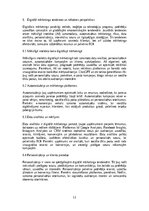 Referāts 'Mārketings un reklāma: digitālais mārketings, sociālo tīklu stratēģijas, reklāma', 11.