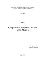 Prezentācija 'Comparison of Enterprises "Lāči" and "Hanzas Maiznīca"', 17.