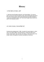 Prezentācija 'Comparison of Enterprises "Lāči" and "Hanzas Maiznīca"', 19.