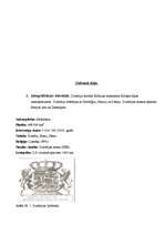 Referāts 'Zviedrija', 5.