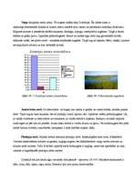 Referāts 'Zviedrija', 9.