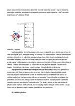 Referāts 'Zviedrija', 11.