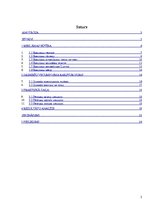 Referāts 'Reklāmas ietekme uz jauniešiem', 2.