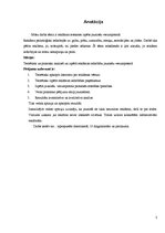 Referāts 'Reklāmas ietekme uz jauniešiem', 3.