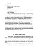 Referāts 'Reklāmas ietekme uz jauniešiem', 11.