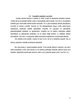 Referāts 'Reklāmas ietekme uz jauniešiem', 17.