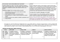 Paraugs '"Kultūra un māksla I" mācību portfolio', 93.