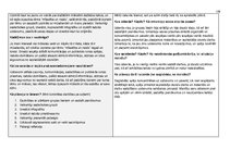 Paraugs '"Kultūra un māksla I" mācību portfolio', 96.