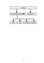 Biznesa plāns 'IU "Līnis"', 6.