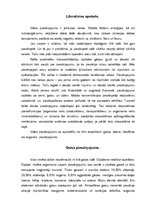 Referāts 'Vides piesārņojums un tā sekas', 3.