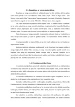 Referāts 'Ziemas tūrisma atpūtas iespējas Latvijā, to saistība ar ekotūrismu', 7.