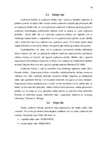 Prakses atskaite 'AS "Aldaris"', 38.