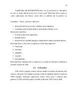 Prakses atskaite 'AS "Aldaris"', 39.