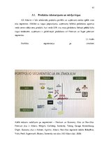 Prakses atskaite 'AS "Aldaris"', 43.