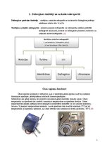Konspekts 'Dabasgāzes uzskaite', 5.