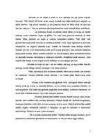 Referāts 'Bērna uzbūve un attīstība prenatālajā periodā', 1.