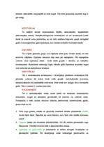 Konspekts 'Ārstniecības augi', 4.