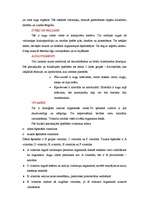 Konspekts 'Ārstniecības augi', 6.