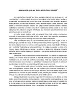 Eseja 'Argumentēta eseja par Andra Miziša filmu "Sekotāji"', 1.