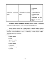 Biznesa plāns 'Sabiedrība ar ierobežotu atbildību "Ezermalas"', 12.