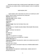 Biznesa plāns 'Sabiedrība ar ierobežotu atbildību "Ezermalas"', 18.