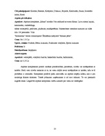 Biznesa plāns 'Sabiedrība ar ierobežotu atbildību "Ezermalas"', 20.