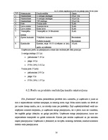 Biznesa plāns 'Sabiedrība ar ierobežotu atbildību "Ezermalas"', 30.