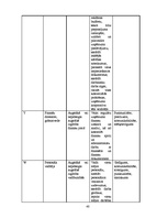 Biznesa plāns 'Sabiedrība ar ierobežotu atbildību "Ezermalas"', 40.