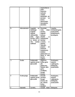 Biznesa plāns 'Sabiedrība ar ierobežotu atbildību "Ezermalas"', 41.