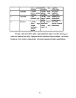 Biznesa plāns 'Sabiedrība ar ierobežotu atbildību "Ezermalas"', 42.