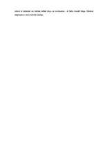 Referāts 'Latviešu tautas tērpa krekla šūšanas metodika', 8.