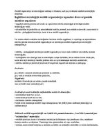 Konspekts 'Sociālās organizācijas un to vadība', 4.