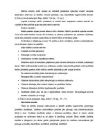 Referāts 'Didaktika', 3.