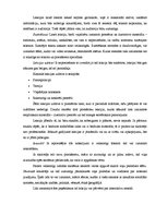 Referāts 'Didaktika', 8.