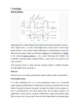Konspekts 'Sirds, sirds asinsvadu sistēma', 9.