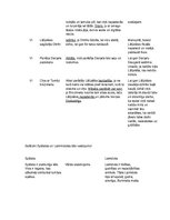 Konspekts 'Pārskats par Lāčplēša varoņdarbiem', 2.