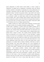 Diplomdarbs 'Mārketinga komunikāciju plāns SIA "Reval Hotel Rīdzene"', 15.