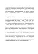 Diplomdarbs 'Mārketinga komunikāciju plāns SIA "Reval Hotel Rīdzene"', 48.