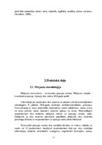 Referāts 'Dzīves kvalitāte pacientiem ar Parkinsona slimību', 17.