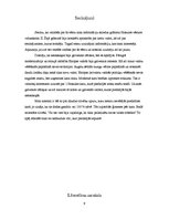 Referāts 'Pirmā pasaules kara cēloņi', 9.